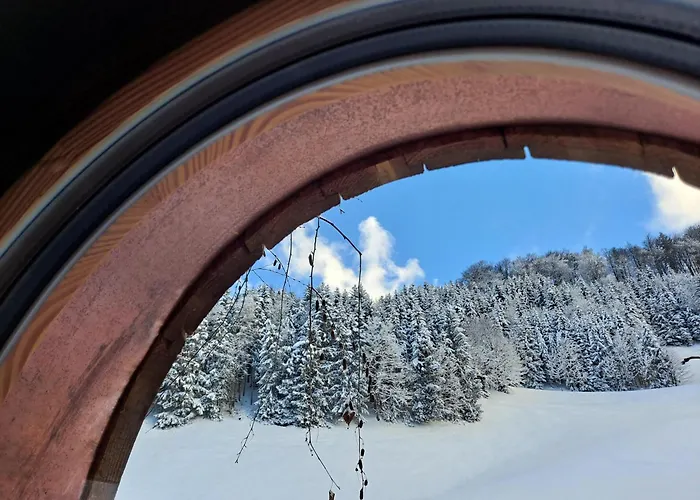 Ulmi\'S Tiny Haus