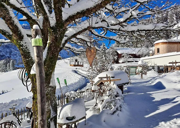 Ulmi\'S Tiny Haus